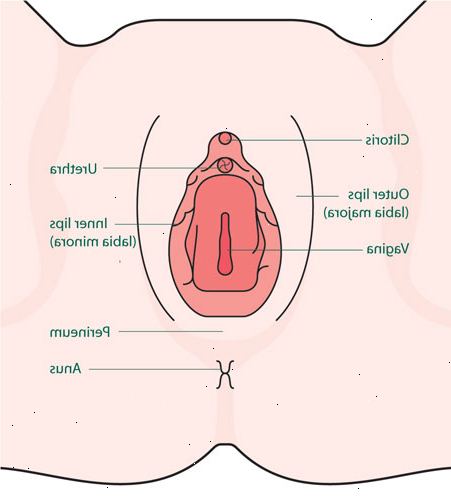 Klåda vulvae (vulva klåda)